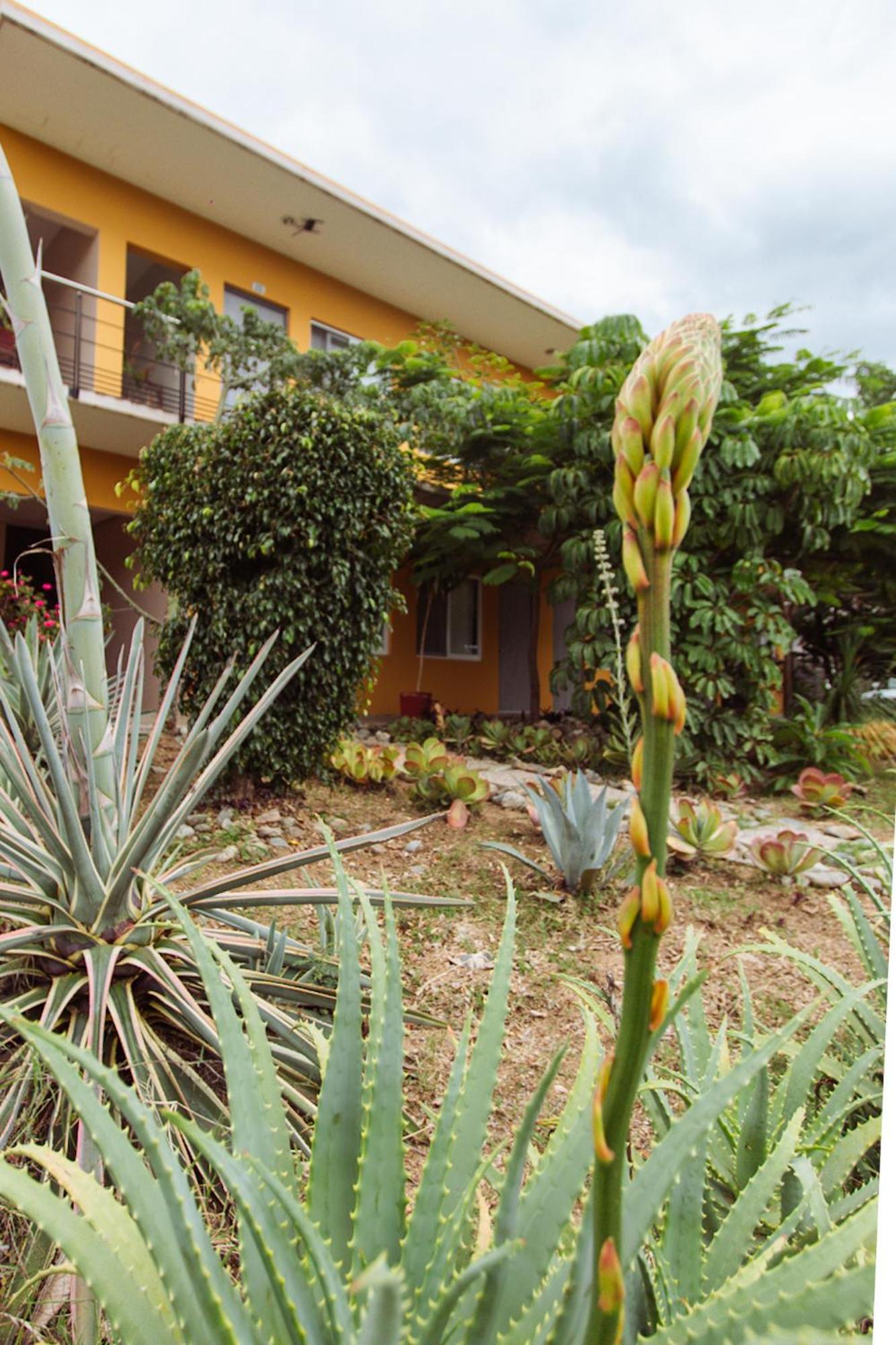 Hotel Guiva San Pablo Hacienda Blanca Exterior photo